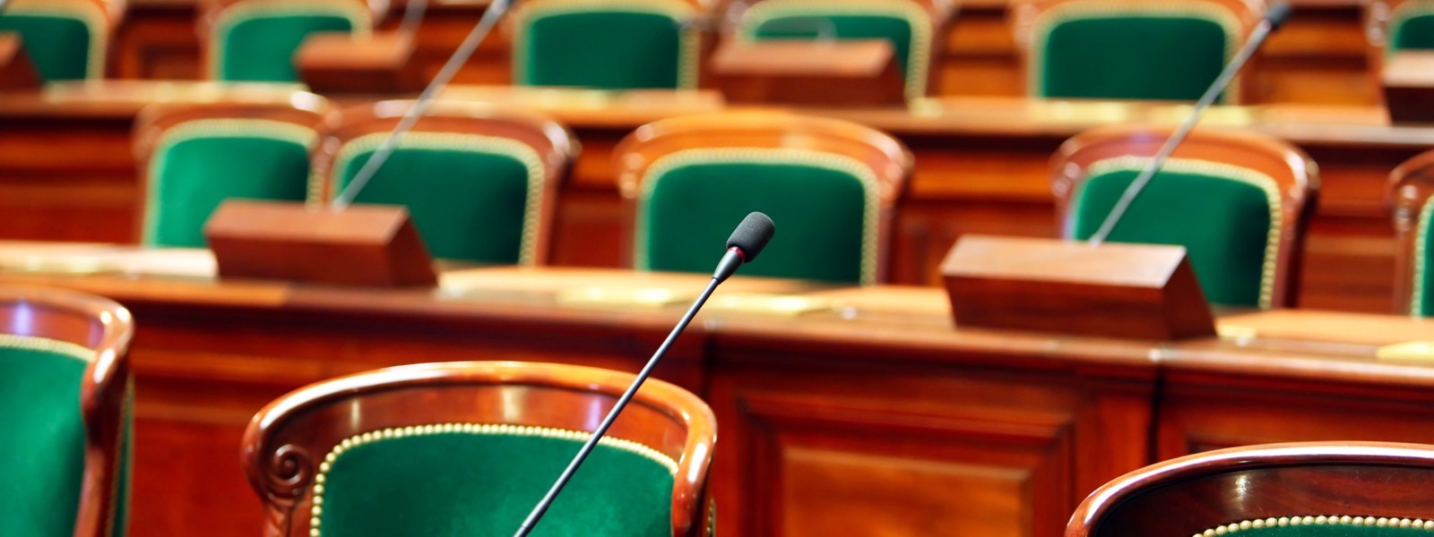 Implementing a Public Affairs and Lobbying Campaign