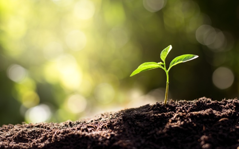 ESG Strategy and Communication